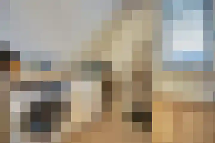 Zonnebaars 11 Rossum thumbnail 35