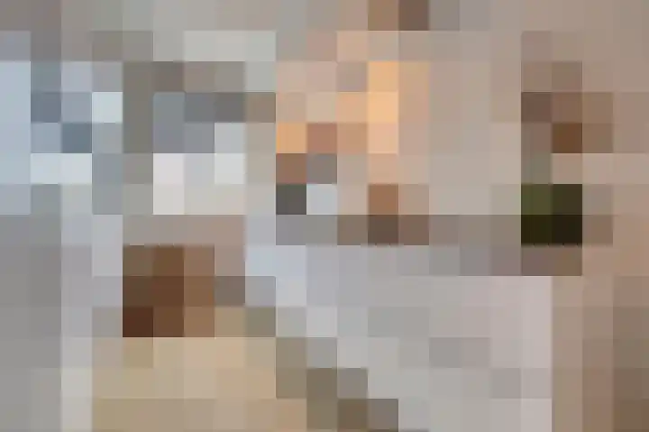 Zonnebaars 11 Rossum thumbnail 4