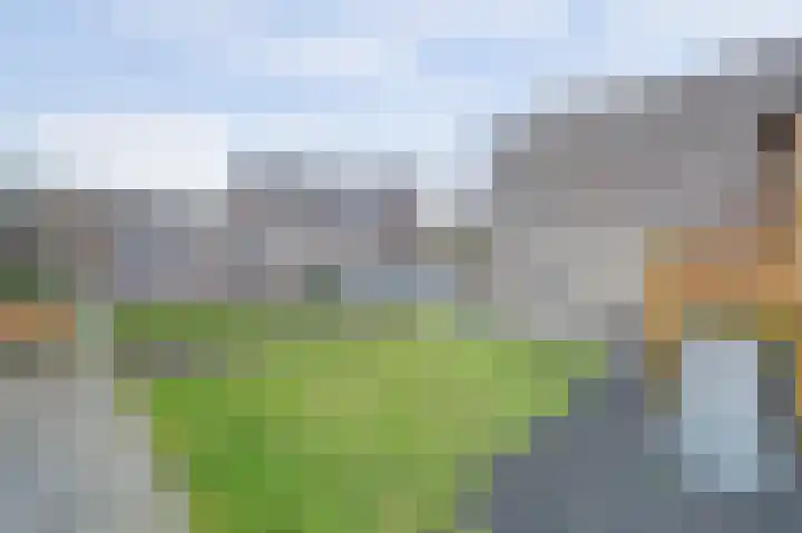Zonnebaars 11 Rossum thumbnail 43