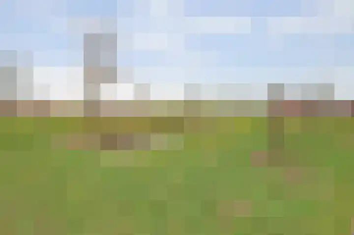 Zonnebaars 11 Rossum thumbnail 49