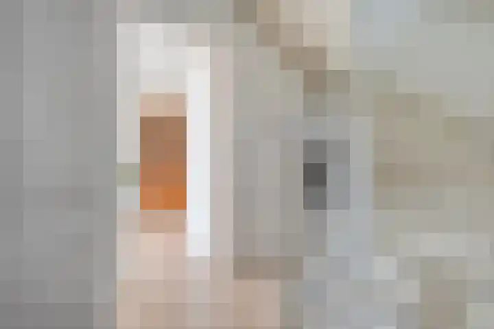 Zonnebloemhof 2 Ommen thumbnail 13