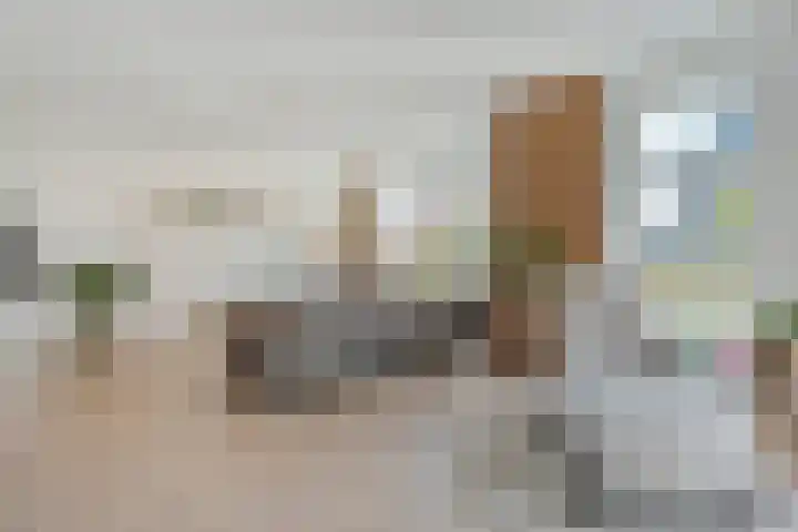 Zonnebloemhof 2 Ommen thumbnail 15
