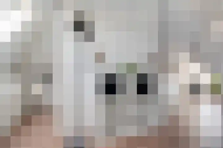 Zonnebloemhof 2 Ommen thumbnail 43