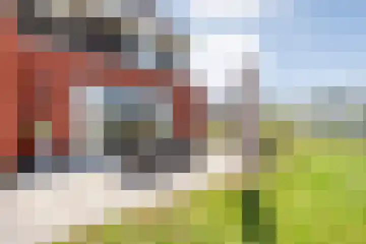 Zonnebloemhof 2 Ommen thumbnail 45