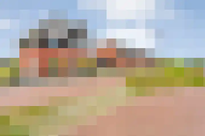 Zonnebloemhof 2 Ommen thumbnail 5