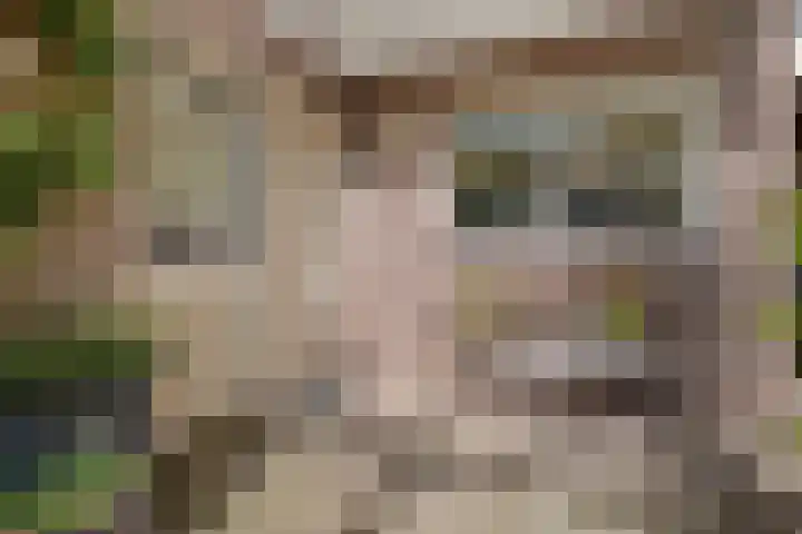 Zonnebos 30 Vught thumbnail 4