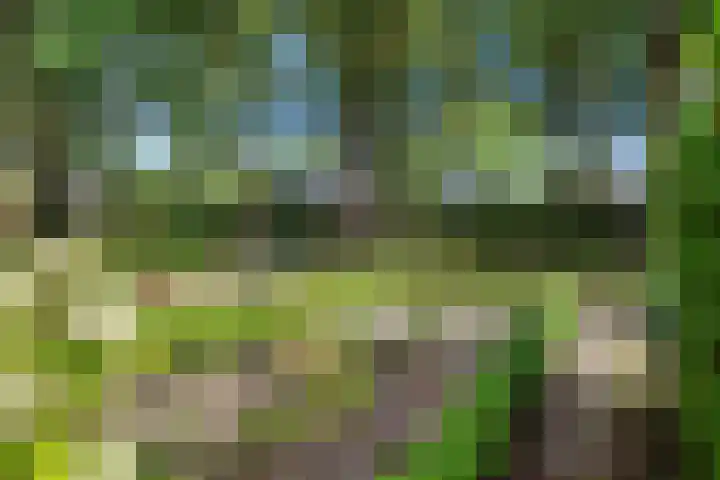 Zonnebos 30 Vught thumbnail 42