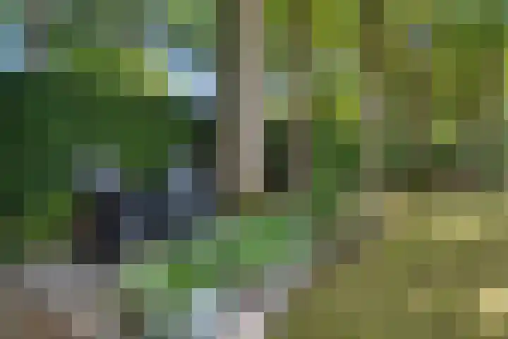 Zonnebos 30 Vught thumbnail 43