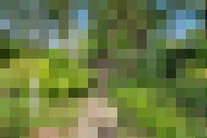 Zonnebos 30 Vught thumbnail 44
