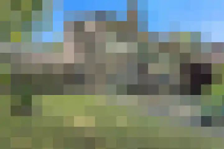 Zonnebos 30 Vught thumbnail 46
