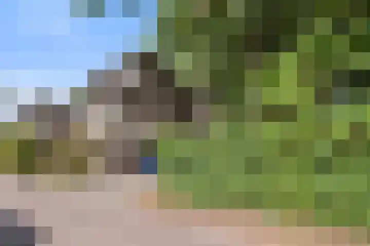 Zonnebos 30 Vught thumbnail 52