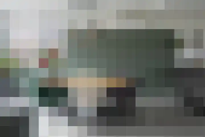 Zonnedauw 15 Stroe thumbnail 11