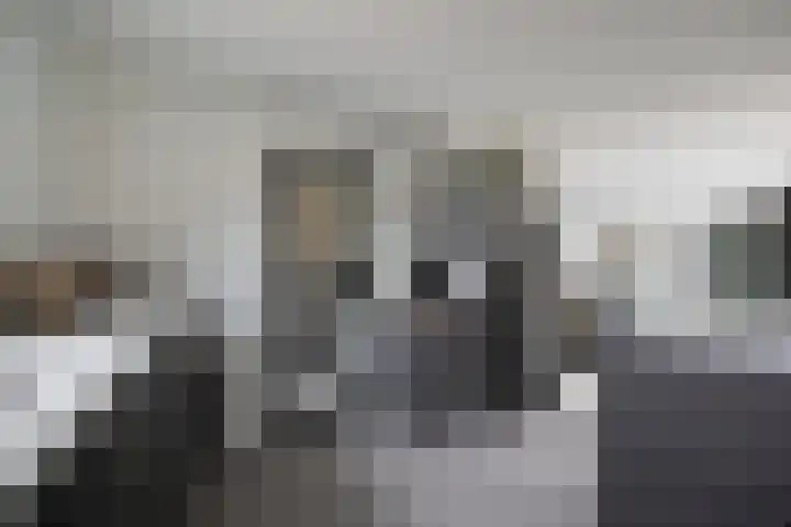 Zonnedauw 15 Stroe thumbnail 14