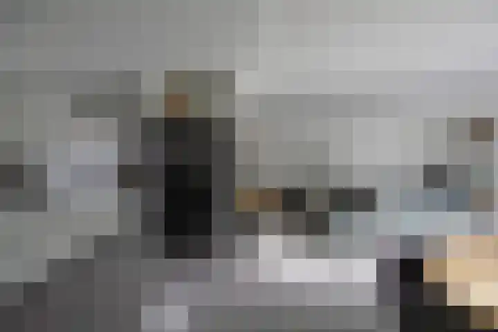 Zonnedauw 15 Stroe thumbnail 15