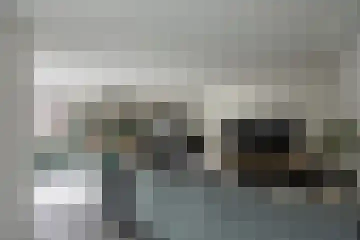 Zonnedauw 15 Stroe thumbnail 19