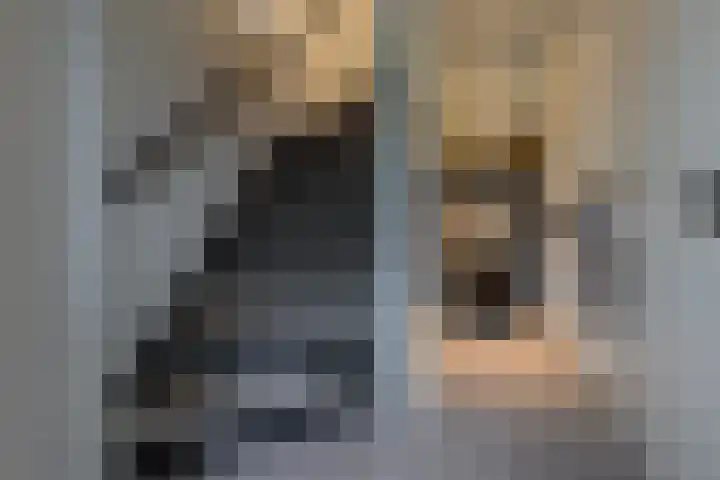 Zonnedauw 15 Stroe thumbnail 23