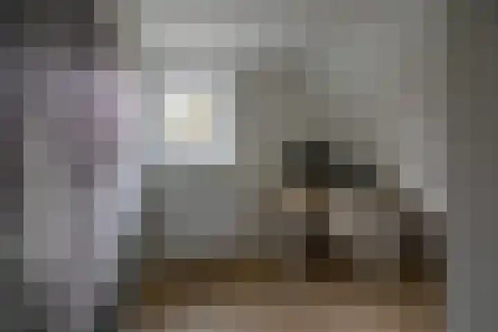 Zonnedauw 15 Stroe thumbnail 27