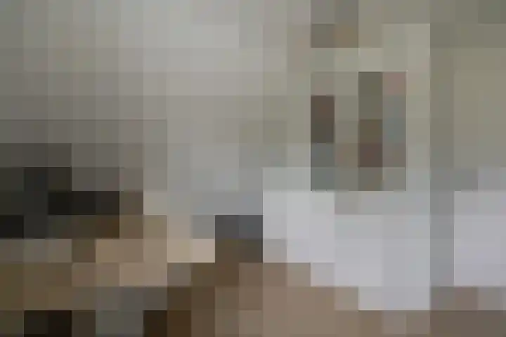 Zonnedauw 15 Stroe thumbnail 29