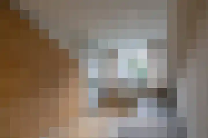 Zonnedauw 15 Stroe thumbnail 31