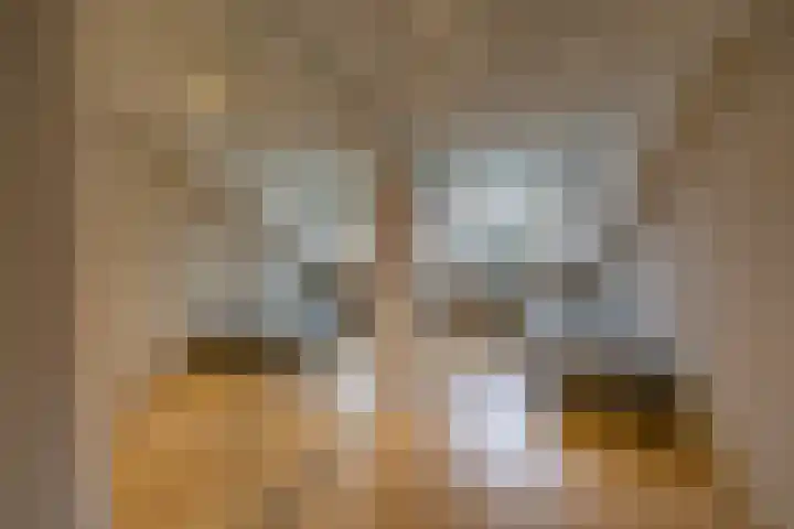 Zonnedauw 15 Stroe thumbnail 32