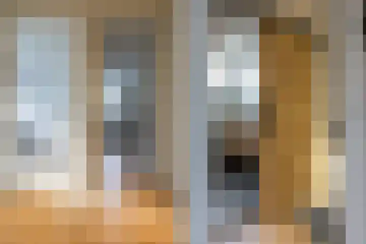 Zonnedauw 15 Stroe thumbnail 34