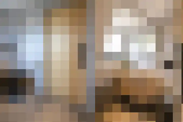 Zonnedauw 15 Stroe thumbnail 36