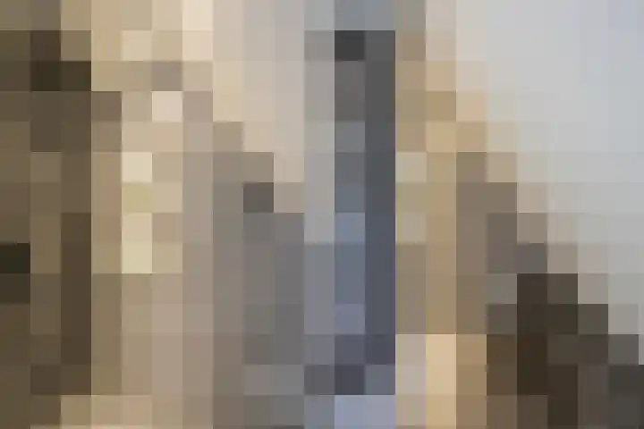 Zonnedauw 15 Stroe thumbnail 37
