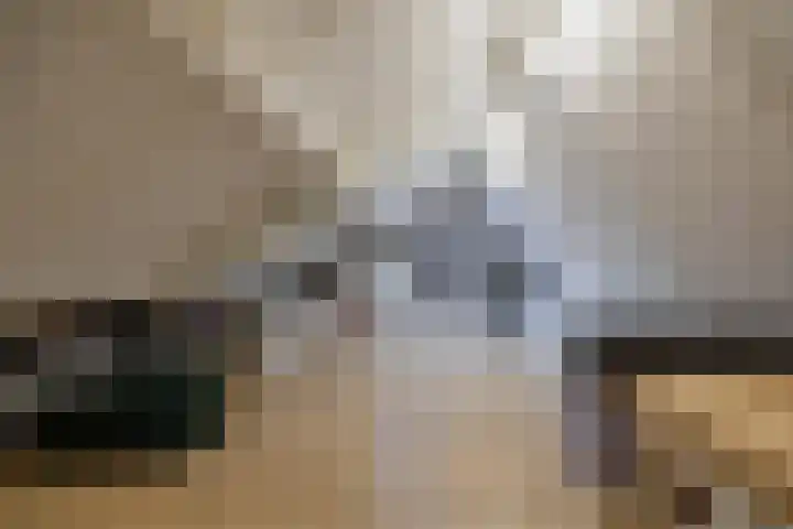 Zonnedauw 15 Stroe thumbnail 39