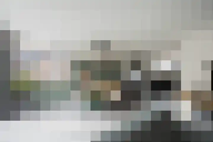Zonnedauw 15 Stroe thumbnail 4