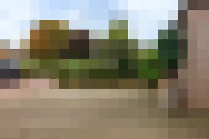 Zonnedauw 15 Stroe thumbnail 41