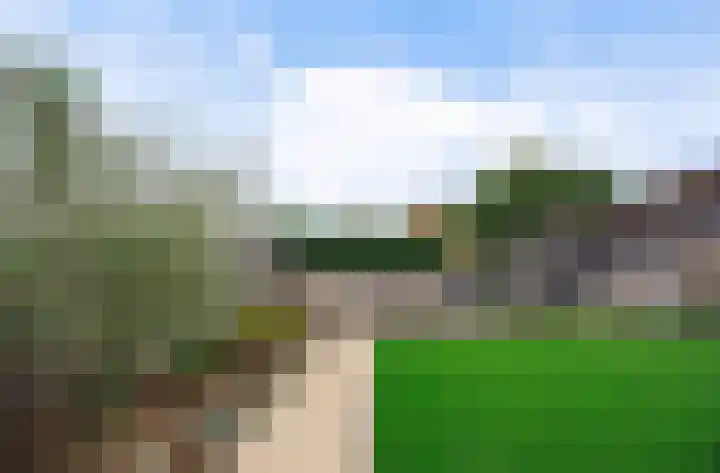 Zonnedauw 15 Stroe thumbnail 49