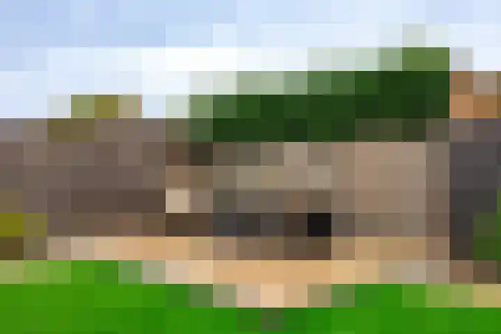 Zonnedauw 15 Stroe thumbnail 53