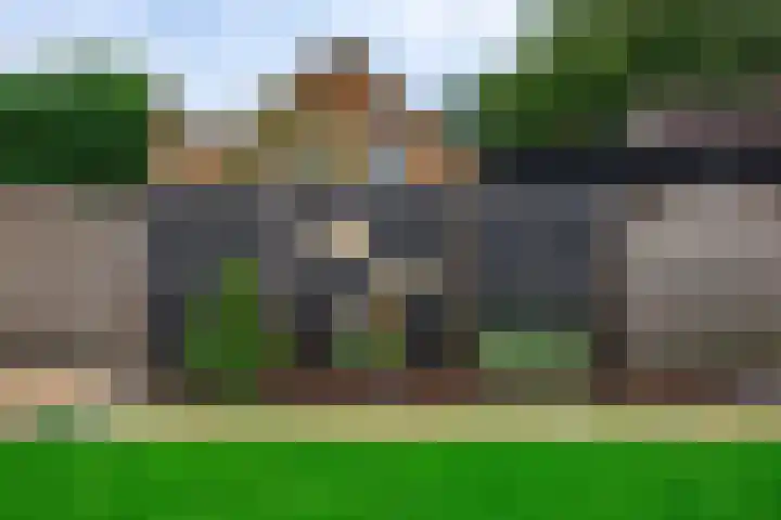 Zonnedauw 15 Stroe thumbnail 54