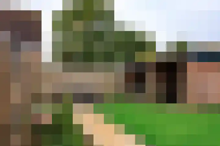 Zonnedauw 15 Stroe thumbnail 55