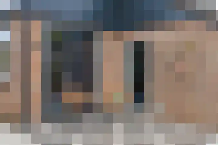 Zonnedauw 15 Stroe thumbnail 58