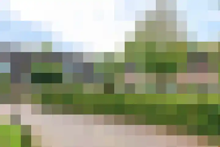 Zonnedauw 15 Stroe thumbnail 6