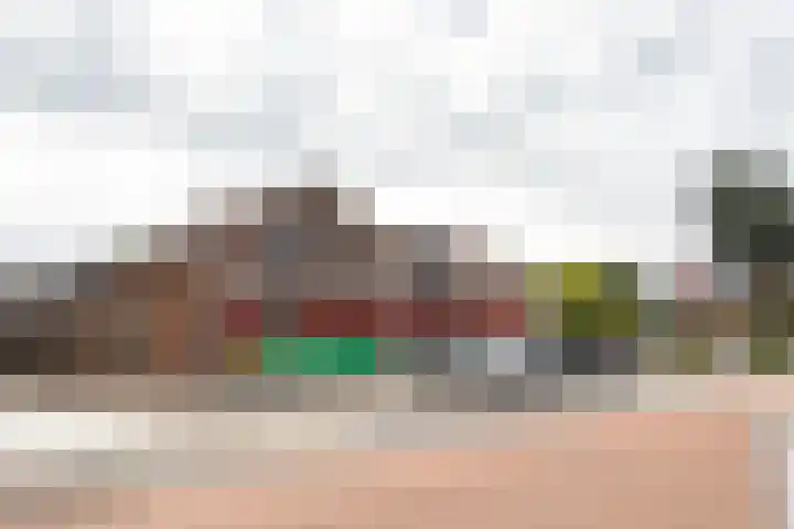 Zonnedauw 15 Stroe thumbnail 62
