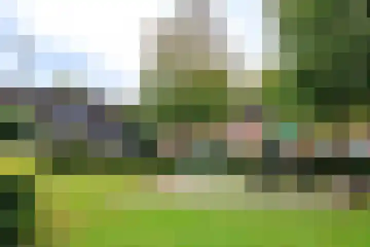 Zonnedauw 15 Stroe thumbnail 7