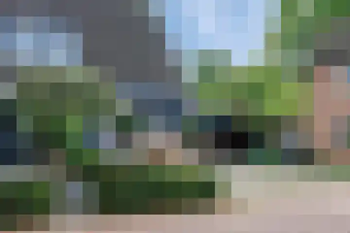 Zonnedauw 15 Stroe thumbnail 8