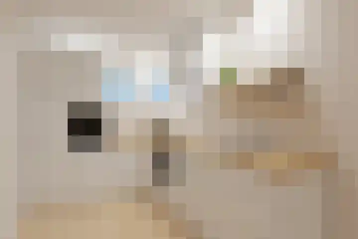 Zonnedauw 2 Sleen thumbnail 14