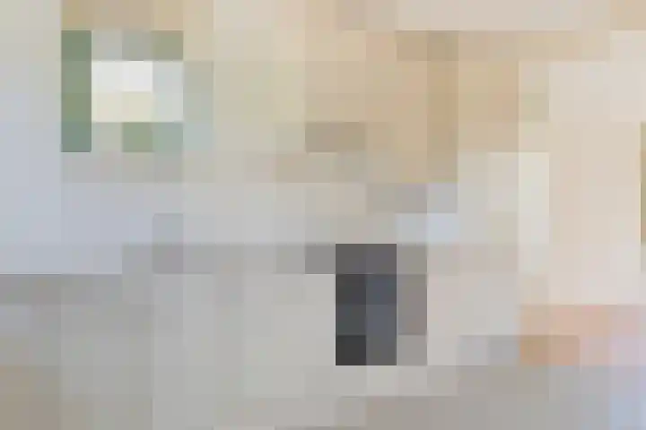 Zonnedauw 2 Sleen thumbnail 15