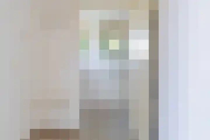 Zonnedauw 2 Sleen thumbnail 17