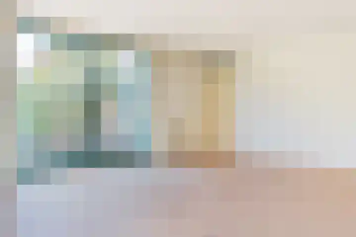 Zonnedauw 2 Sleen thumbnail 19