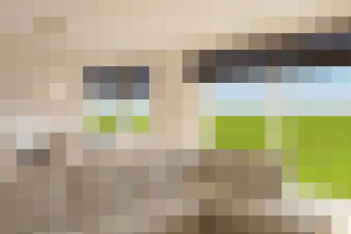 Zonnedauw 2 Sleen thumbnail 24