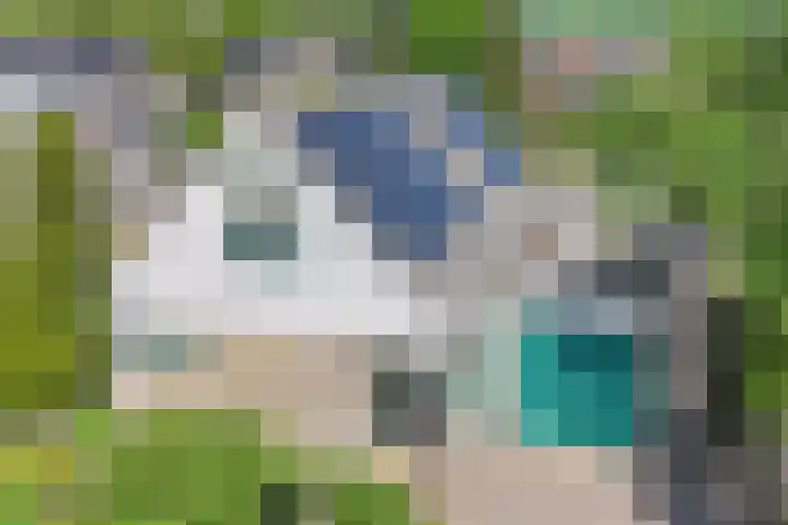 Zonnedauw 2 Sleen thumbnail 4