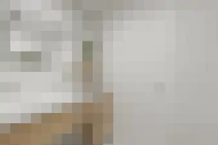 Zonnedauw 2 Sleen thumbnail 48