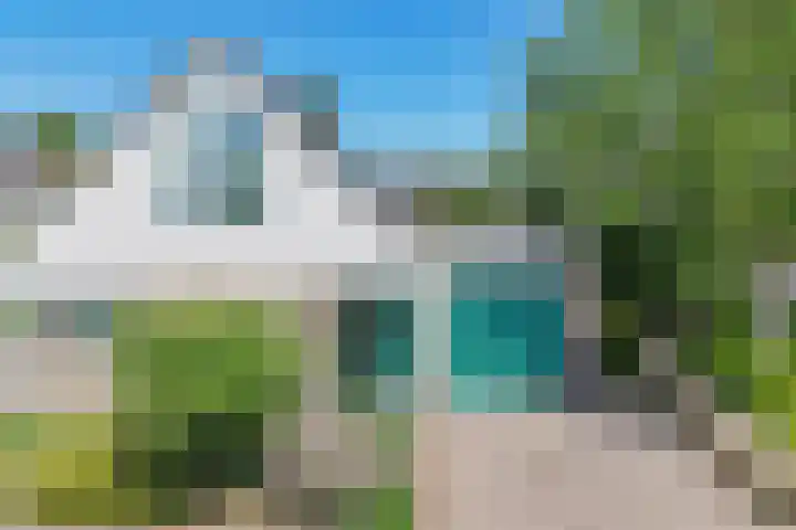 Zonnedauw 2 Sleen thumbnail 5