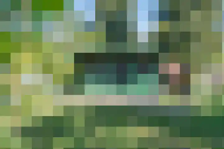Zonnedauw 2 Sleen thumbnail 58