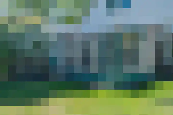 Zonnedauw 2 Sleen thumbnail 59