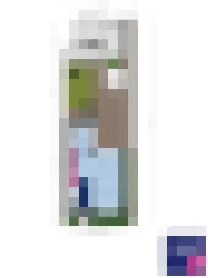 Zonnedauw 20 Sleen thumbnail 17